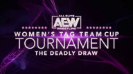 AEW Womens Tag Team Cup Tournament Night 3 Full Show Online