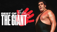 Watch WWE The Best Of WWE Ep 82: Best Of Andre the Giant