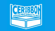 Watch Ice Ribbon June 23rd 2024