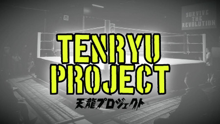 Tenryu Project