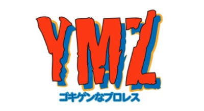 YMZ Pro Wrestling